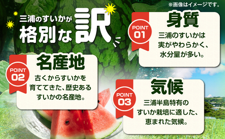 神奈川県 三浦市 産大玉すいか（ 2個 ） M109-007 すいか スイカ 三浦市農業協同組合 ふるさと納税 おすすめ ランキング プレゼント ギフト