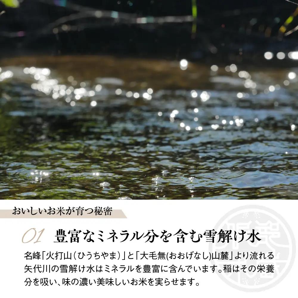 先行予約【令和8年産】【定期便】服部米蔵の妙高矢代産コシヒカリ 5kg×6回 計30kg