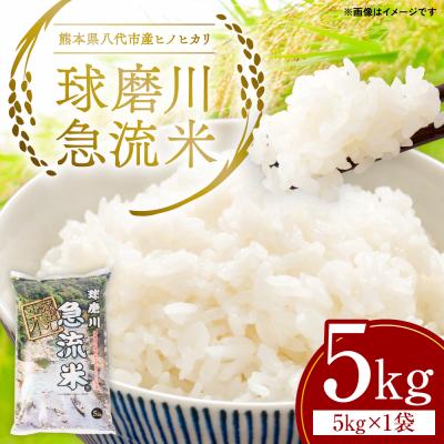 ふるさと納税 八代市 《令和7年産》熊本県八代市産 球磨川急流米 ヒノヒカリ 5kg_131-4799-D