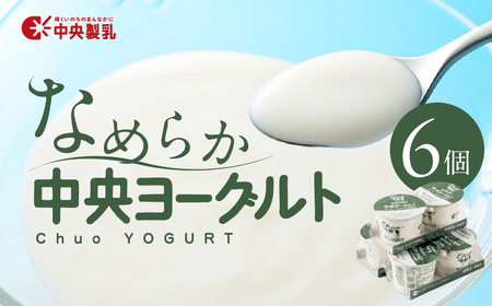 ヨーグルト 2p 6個セットヨーグルト 中央製乳