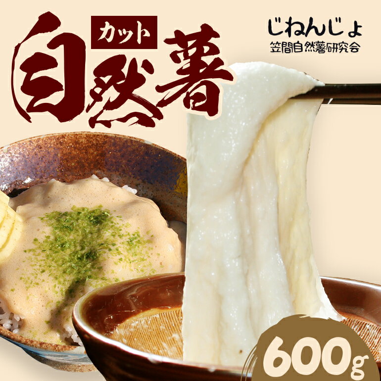 【ふるさと納税】自然薯 カット 約600g 笠間自然薯研究会 自然薯 長芋 山芋 とろろ とろろご飯 野菜 ねばねば 健康食品 美容効果 笠間市産 茨城県産 栄養たっぷり ギフトに最適 新鮮 国内生産 高級根菜 美容 健康 美味しい 産地直送 滋養強壮