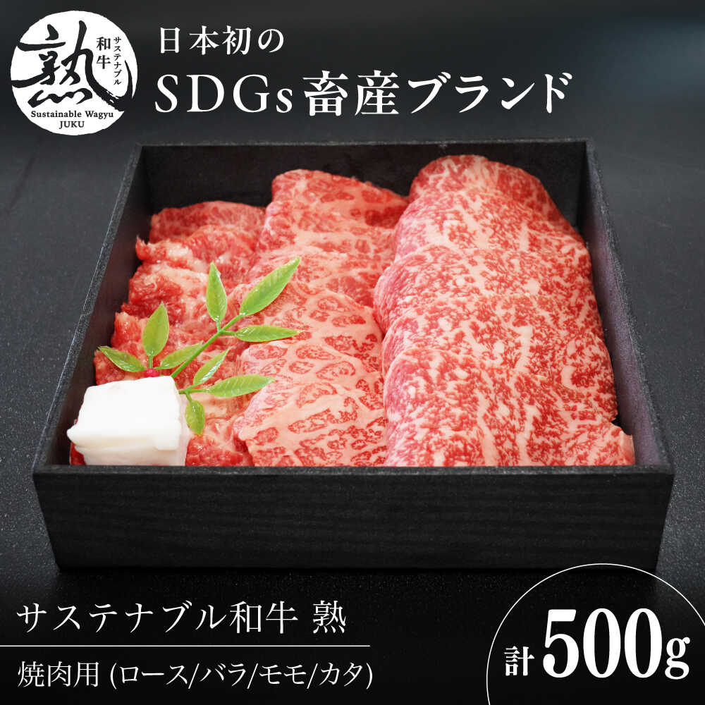 【ふるさと納税】焼肉 サステナブル和牛 熟 焼肉用（ロース/バラ/モモ/カタ） 500g | 牛肉 和牛 肉 にく サステナブル 焼肉 焼き肉 BBQ バーベキュー セット 食べ比べ 贈り物 お祝い ご褒美 赤身 霜降り 島根県雲南市/株式会社熟豊ファーム[AIAT014]