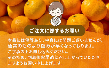 愛媛みかん 訳あり 清見タンゴール 10kg マル南フルーツ 先行予約 わけあり タンゴール オレンジ きよみ 清見オレンジ 清見みかん 清見蜜柑 清見 愛媛ミカン 愛媛蜜柑 蜜柑 みかん mikan