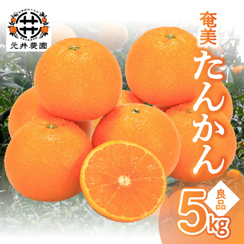 【ふるさと納税】【2026年先行予約】【期間限定】奄美 たんかん 良品 5kg 家庭用 みかん 蜜柑 柑橘 果物 フルーツ 数量限定 奄美大島 ジューシー 芳醇 甘い 酸味 果汁 美味しい ご褒美 贅沢 国産 元井農園 鹿児島 奄美市 おすすめ ランキング プレゼント ギフト