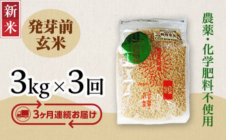 E1-H033A【3ヶ月連続お届け】新潟県長岡産コシヒカリ 発芽前玄米 3kg