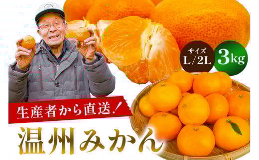 【先行受付 2025年11月20日頃から順次発送】 温州みかん 3kg【サイズL又は２L】 mi0032-0001-2 【果物 フルーツ 果実 みかん オレンジ 柑橘 食品 国産】