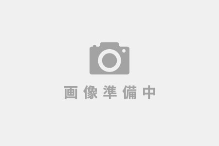 -あふひ 贅の極み- 飛騨牛すじどて味噌煮込み 2人前×2個セット / レトルト どて煮 おつまみ おかず / 恵那市 / テンポイント [AUEU009]