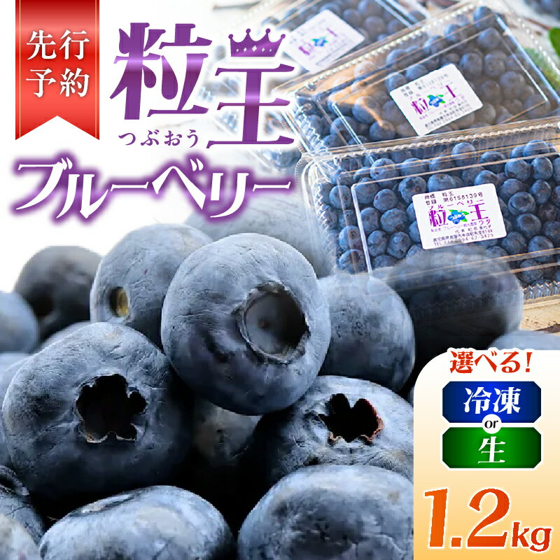 【ふるさと納税】【先行予約】＜選べる＞ 粒王 ブルーベリー 1.2kg 冷凍 or 生 400g × 3P 粒が大きいものを厳選 ブルーベリー 果物 果実 フルーツ 大粒 おいしい ブルーベリー観光農園ワダ ふるさと納税 鹿児島 鹿屋市 おすすめ ランキング プレゼント ギフト