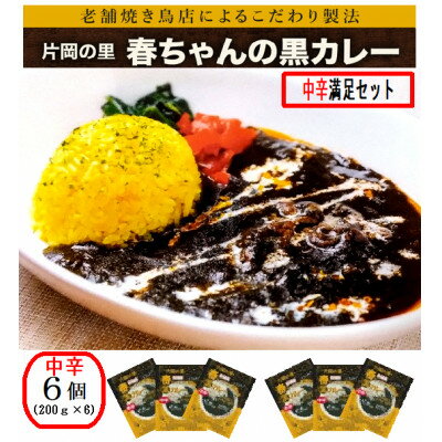 【ふるさと納税】片岡の里春ちゃんの黒カレー満足セット(甘口/中辛/激辛/ファミリーセット)【G1466672】