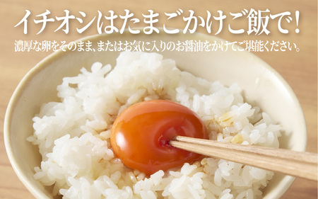 【定期便6ヶ月】たまごの郷奥丹波 10個×3パック