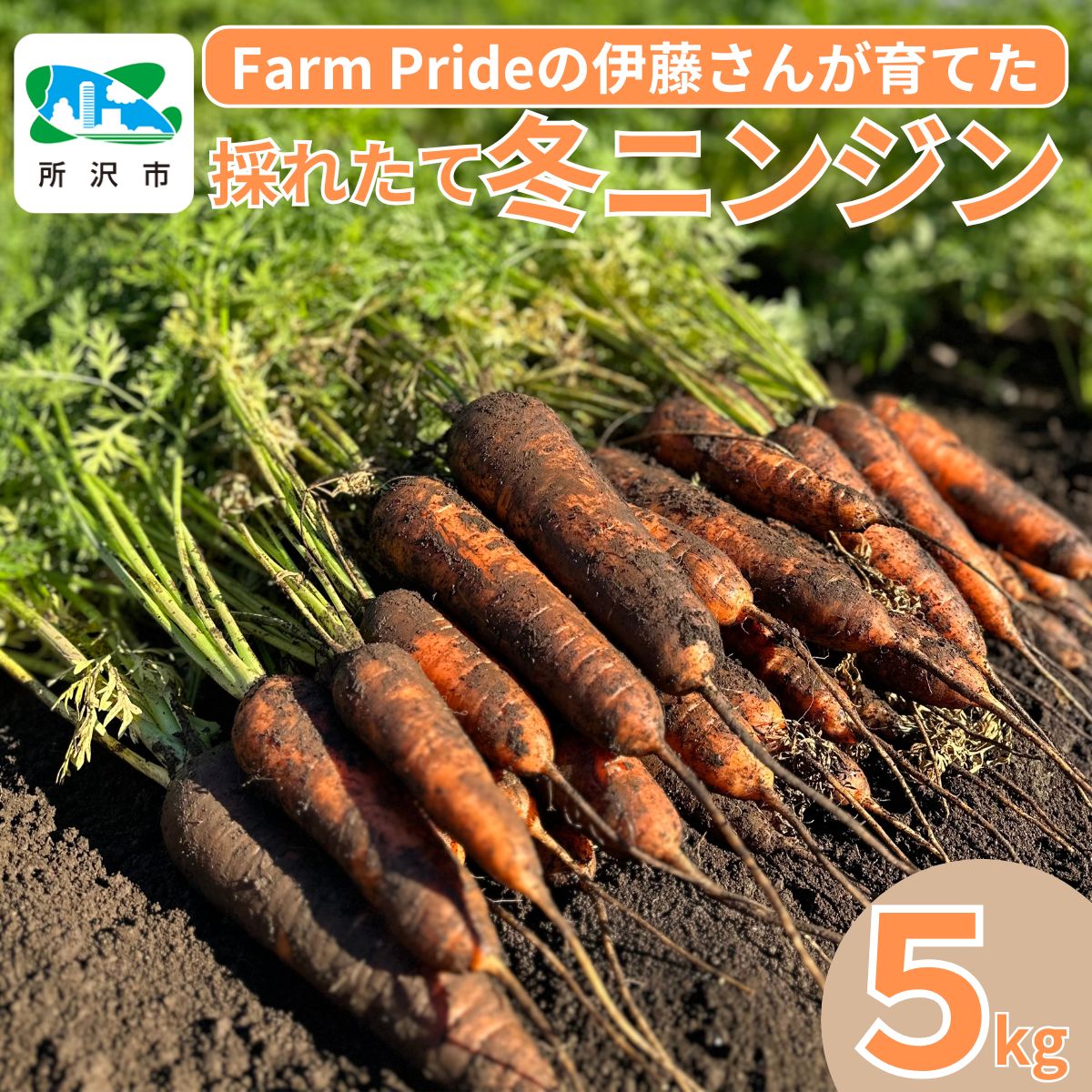 【ふるさと納税】採れたての絶品！冬ニンジン5kg 彩誉(あやほまれ) Farm Pride | 人参 にんじん ニンジン キャロット 野菜 緑黄色野菜 スムージー スティック 料理 煮物 カレー シチュー ジュース カロテン ビタミン 産地直送 おいしい おすすめ 新鮮 フレッシ 埼玉県 所沢市