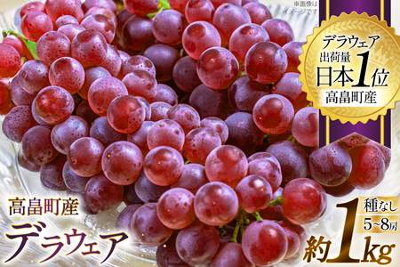 【期間限定発送】 ぶどう デラウェア 5～8房 約 1kg [いわた果樹園 山形県 高畠町 tk06ayt400003]