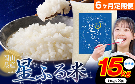 【6ヶ月定期便】無洗米 星ふる米 15kg 無洗 mt