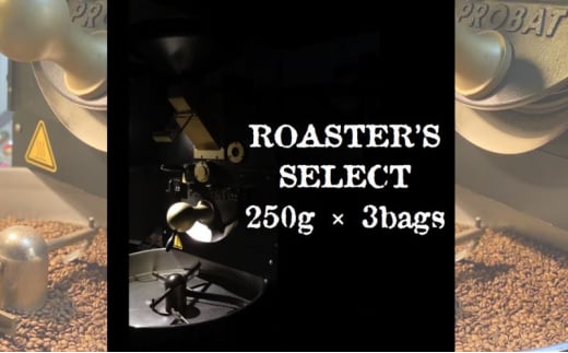 ロースターズセレクト 250g×3種類のおすすめスペシャルティコーヒー ドリンク コーヒー スペシャルティコーヒー 豆 [№5619-7940]1896