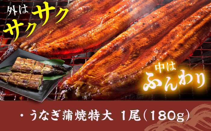 【炭火焼4種セット】本格炭火焼 おすすめセットA（うなぎ さば 焼き鳥） /炭火焼古賀 [UDH029] タレ付き 鰻 サバ 焼