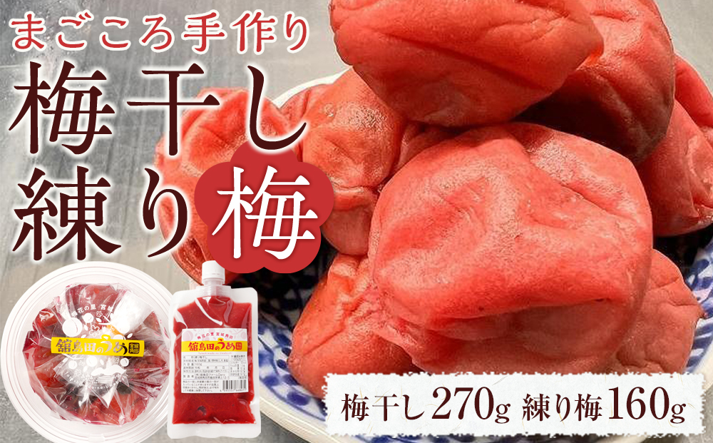 【ふるさと納税】梅干し 宮城県角田産【無添加】まごころ手作り梅干し(270g)・練り梅(160g)１セット｜梅干し 田舎の梅干し すっぱい 梅干 うめぼし 練り梅 パウチ