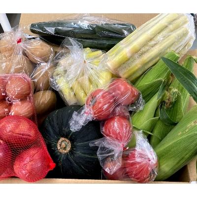 ふるさと納税 西之表市 種子島発　旬の野菜と玉子セット |  | 02