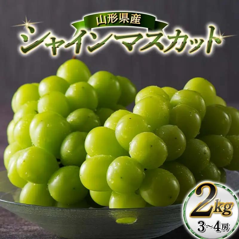 ≪2026年先行予約≫【本田農園】山形県産 大粒ぶどう シャインマスカット 約2kg(3～4 房) 秀品 2026年9月中旬から順次発送 F2Y-6148