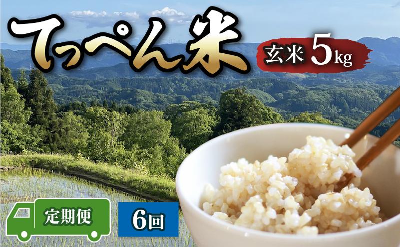 
                  【令和8年新米予約】 こしひかり 新米 定期便 5kg 6回 計 30kg 玄米 神子原 てっぺん米 令和8年産 米 こだわり もっちり 甘み 食味ランクS 最高評価 genmai gennmai ご飯 ごはん R8 2026年産 コシヒカリ おいしい 美味しい 神子原頂上米 石川県 石川 能登 羽咋 支援 応援 復興応援 復興支援 お米 ※ おこめ こめ kome okome ふるさと納税米 
                