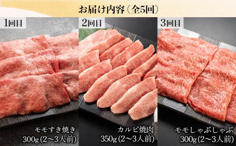 【定期便 5回】 飛騨牛 ふたりで楽しむ 定期便 5回 菊の井 牛肉 (すき焼き / 焼き肉 / しゃぶしゃぶ / 赤身 / カルビ) 5カ月 2人前 下呂温泉 おすすめ 肉 ブランド牛 【70-B】