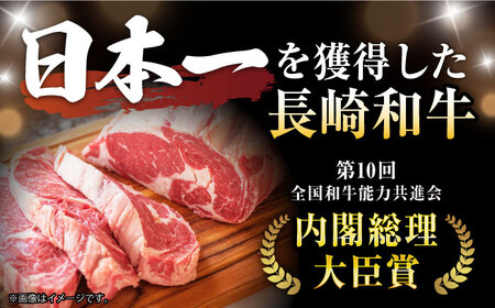 【6回定期便】極上 ヒレ ステーキ 300g（150g×2枚） / ヒレステーキ 長崎和牛 A4〜A5ランク 希少部位 / 諫早市 / 野中精肉店[AHCW048]