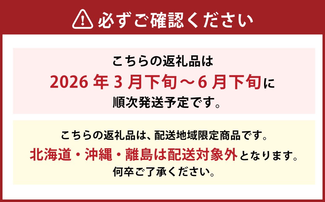 河内晩柑 2L～M 約10kg（826）