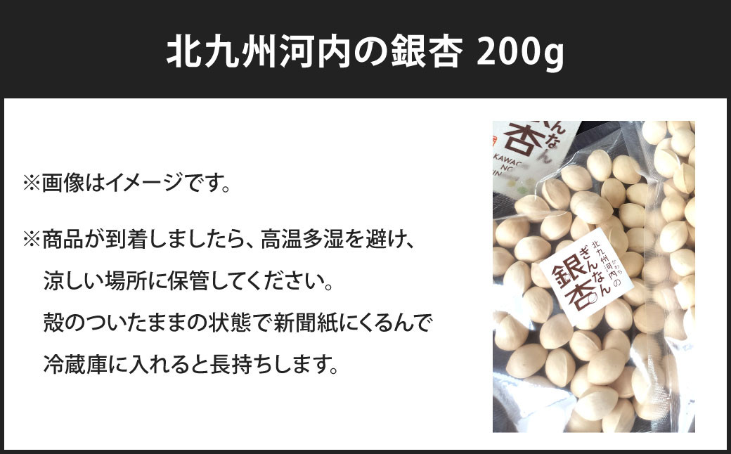 北九州河内の銀杏 200g