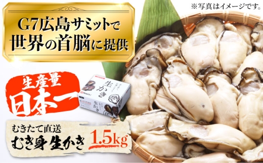 【1月27日（水）着】生牡蠣 むき身 1.5kg 江田島市／マルサ・やながわ水産有限会社[XBL003-013]