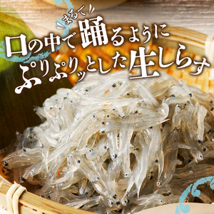 a30-234　【定期便 3 】生しらす100g 6個×3回