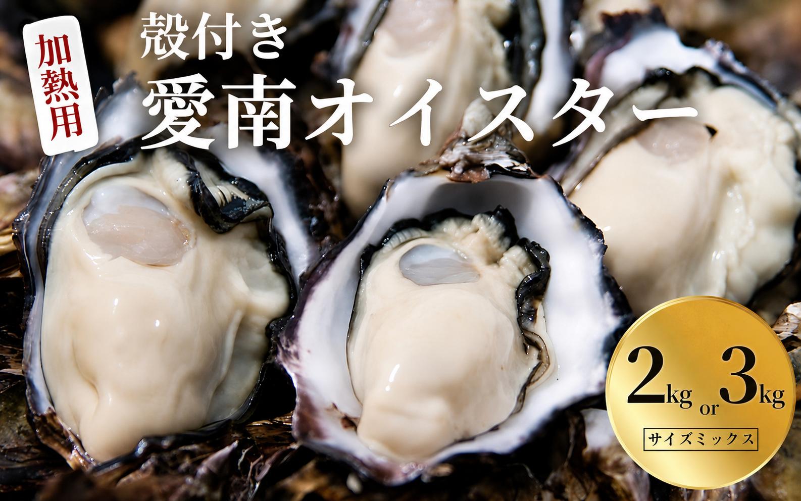 
                  愛南 オイスター 2kg/3kg  牡蠣 加熱用 殻付き 三倍体 真牡蠣 ブランド 特産品 お取り寄せ グルメ 大粒 濃厚 クリーミー おいしい 新鮮 ご褒美 かき パスタ アヒージョ まがき 夏 産地 直送 愛南漁業協同組合 御荘支所 愛媛 新居浜
                