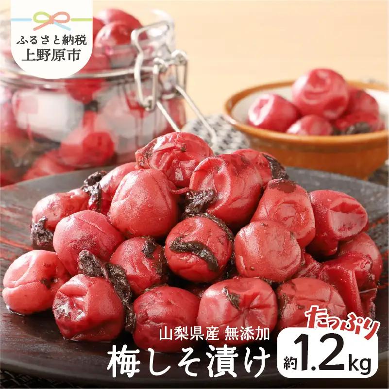 ＼先行予約！／ 西原ばあちゃんの手作り梅しそ漬け 梅しそ漬け 1.2kg 無添加 山梨県産 梅干し 手作り 人気 おすすめ うめぼし 紫蘇 しそ 国産 うめ ウメ ご飯 おにぎり 昔ながら やわらか ジューシー 風味豊か 自然の味 お取り寄せ ギフト プレゼント 贈り物 贈答 送料無料 山梨県 上野原市