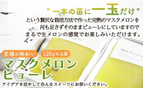 完熟マスクメロンピューレ 120g×6袋 - 送料無料 果物 フルーツ めろん 果実 果汁100％ ジュース シャーベット アイス アレンジ デザート 贈答用 贈り物 のし 篤農 冷凍 tn-0007