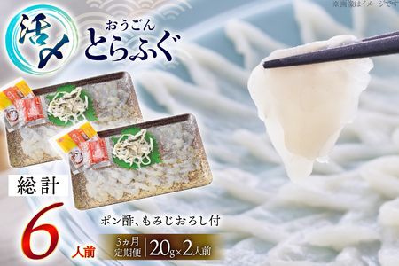 ふぐ 刺身 セット 活〆 おうごんとらふぐ 刺身セット 2人前 3回 定期便 [松永水産 長崎県 平戸市 hr42bgy400070]