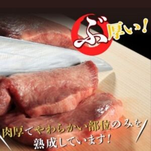 【定期便5ヶ月】JAPAN X3種特選仙台牛タン塩味セット計1kg　【真空パック・特選仙台牛タン塩味8mm・JAPAN X3種（ロース・モモ・小間）】