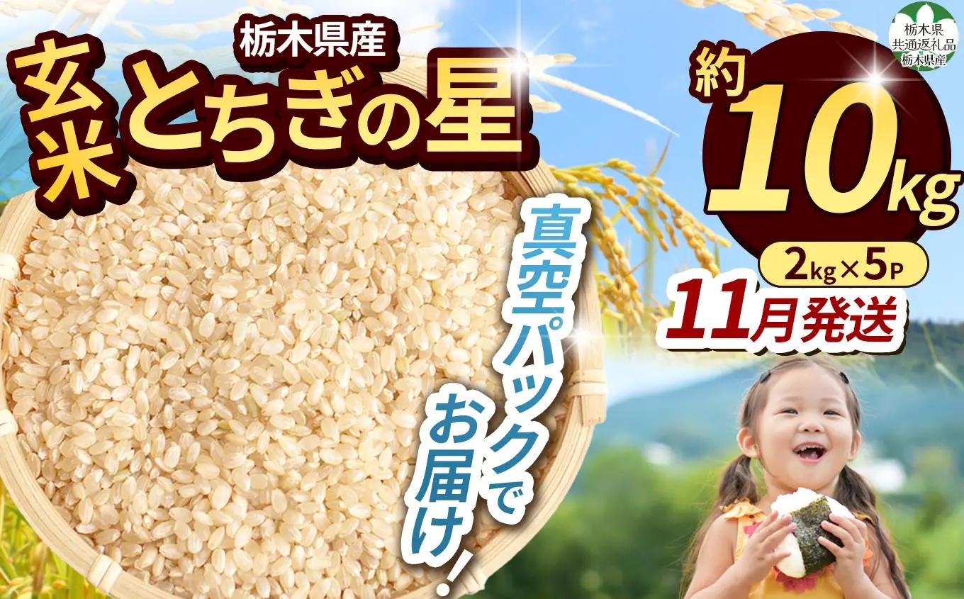 【栃木県共通返礼品】【先行予約】【11月発送分】令和8年度新米 栃木県産とちぎの星（玄米真空パック) 約2kg×5  |  栃木県 那珂川町 送料無料