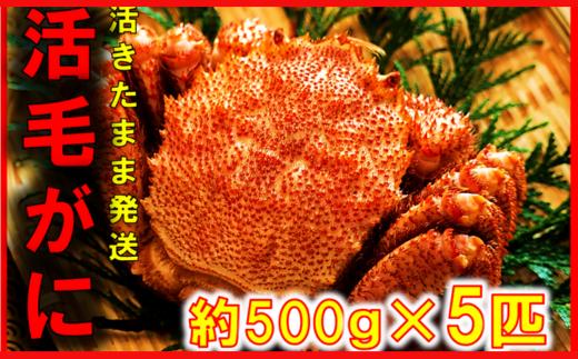 
            【令和8年発送】三陸産 三陸活毛ガニ 500g×5杯【2026年3月～4月発送】【05】
          