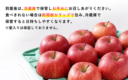 年明け 吹田りんご園 山の完熟サンふじ約3kg 【吹田りんご園・青森りんご・平川市広船産・12月】