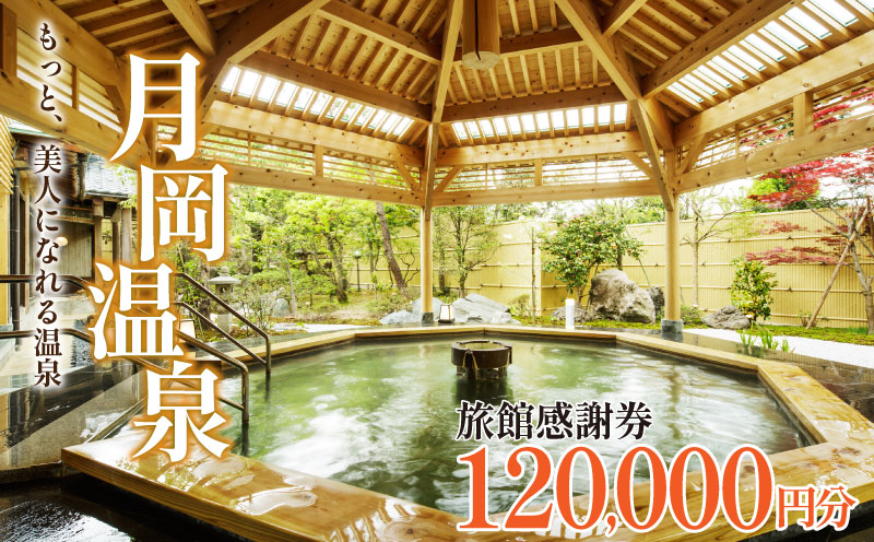 旅行券 月岡温泉 利用券 感謝券 120,000円分 ( 1,000円 × 120枚 ) ゴールデンウイーク GW 新潟県 温泉 旅行 宿泊 宿泊チケット 旅行チケット チケット 体験 トラベル チケット 観る 遊ぶ 食べる 泊まる 金券 風呂 ホテル 旅館 老舗 観光 観光地 国内旅行 旅行券 宿泊券 利用券 ゴルフ 国内 新潟 新発田 A01_40