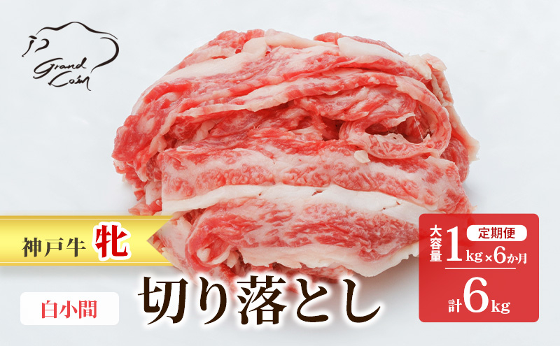 
神戸ビーフ 神戸牛 牝 6か月連続 1kg 1000g 計6kg お届け 定期便 切り落とし 白小間 牛小間 大容量 小分け 冷凍 肉 牛肉
