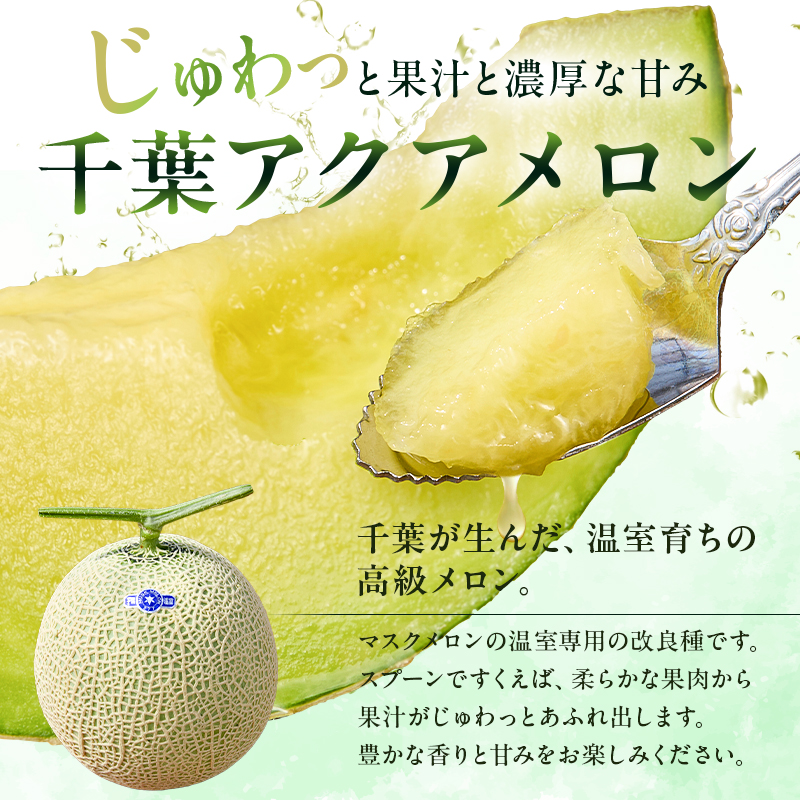【定期便】千葉アクアメロン1玉（1.2Kg）【3か月連続お届け】 メロン 高級 フルーツ 果物 果汁 みずみずしい 別格 厳選 化粧箱入り ギフト 定期便 連続