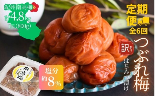 【定期便全6回】【塩分約8％】和歌山紀州南高梅 つぶれ梅 はちみつ漬け 訳あり 800g agrjpn-tkb011