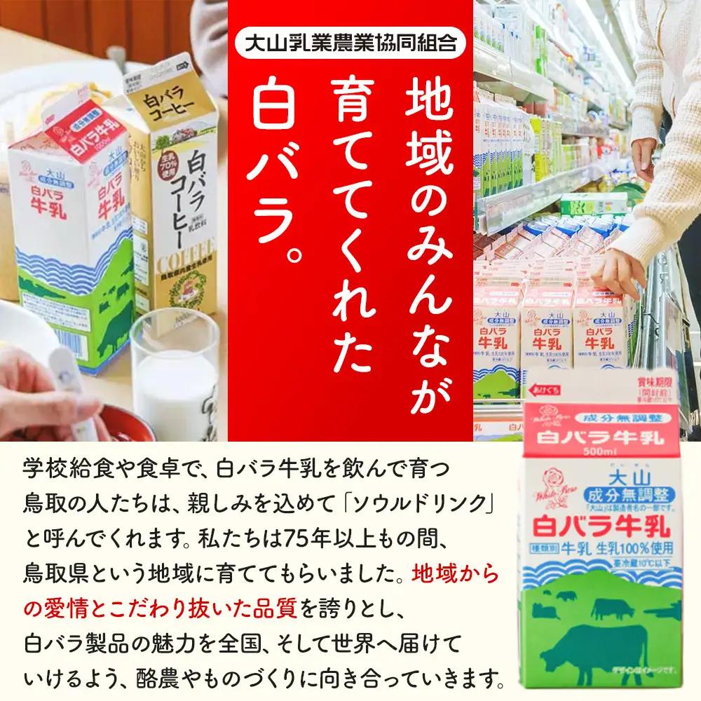 1012.白バラのチーズギフト
