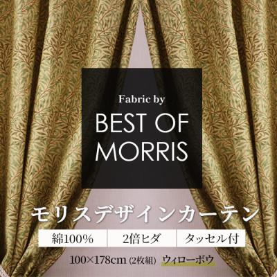 ふるさと納税 茅野市 厚地カーテン ウイローボウ 幅100×丈178cm 2枚組　Fabric by ベストオブモリス