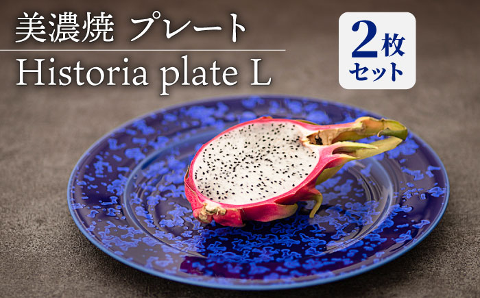 
【美濃焼】 プレートL 2枚セット Historia plate L pair set 【柴田商店】 [TAL067]
