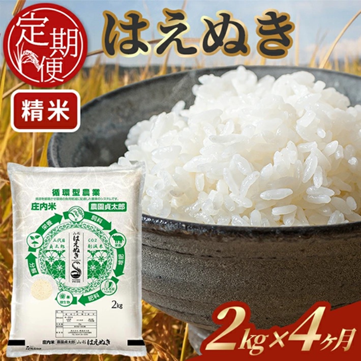 SD0220　【4回定期便】令和7年産 ［精米］はえぬき　2kg×4回(計8kg)