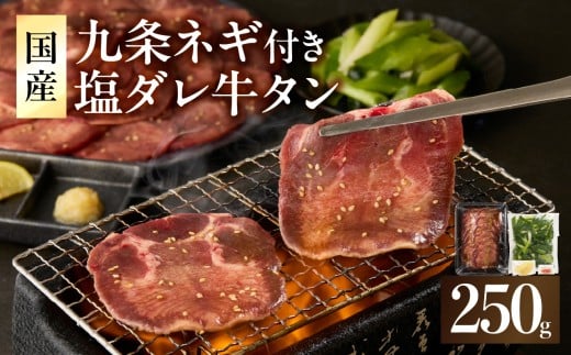 「京都人気焼肉店」貴重！塩ダレ国産牛タン 九条ネギレモン付き 250g 国産 牛タン 九条ネギ 薄切り 味付き 塩だれ 焼肉 BBQ 冷凍【093-39】