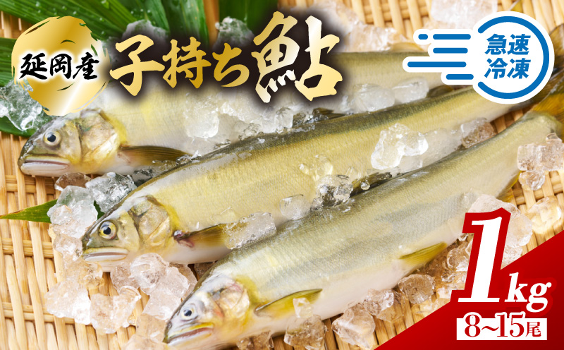 【2026年11月以降発送】【先行予約】【延岡産】小分けで便利！冷凍子持ち鮎１kg N017-YA3402