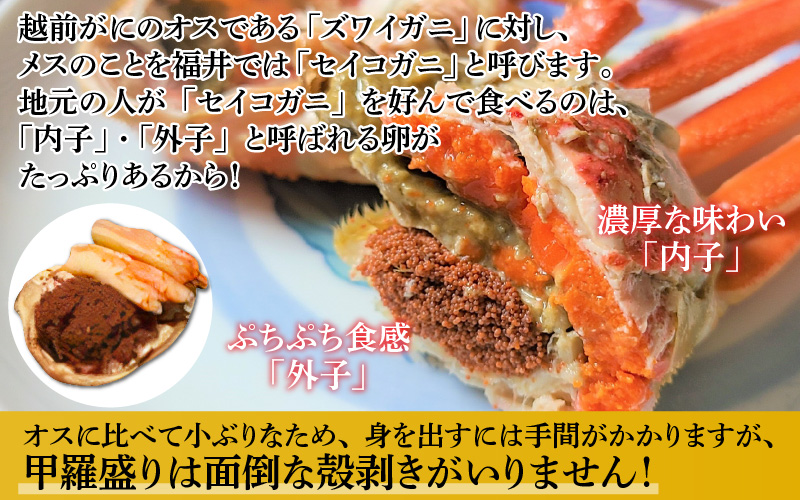 【産地直送】先行予約！ 福井冬の味覚！越前がに（ずわいがに活 600～700g 1杯） ＆ せいこ甲羅盛り3個  2024年11月15日以降発送