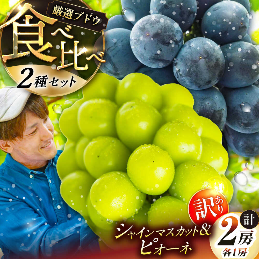【ふるさと納税】【先行予約：2026年8月中旬より発送】【ご自宅用】農家直送の2品種を食べ比べ！シャインマスカット 1房 ピオーネ 1房（約850g）簡易包装 訳あり 島根県雲南市/ギアファーム[AIAB017]