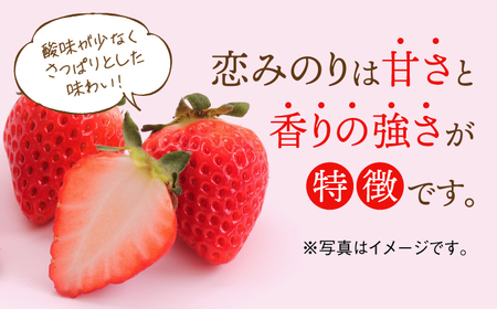 ＜先行予約！赤いちごセット＞恋みのり・さがほのか 各220g 詰め合わせセット / イチゴ 苺 フルーツ 果物 / 佐賀県/鐘ヶ江農園[41ASBK008]
